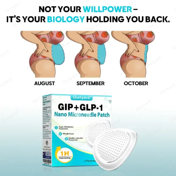 𝐎𝐮𝐫𝐥𝐲𝐚𝐫𝐝® 𝐆𝐈𝐏 + 𝐆𝐋𝐏-𝟏 𝐏𝐚𝐭𝐜𝐡 ✅1 Patch/Week | Support Blood Sugar & Weight • Feel the Difference in 7 Days
