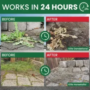 YOBENSUN® Weed Destruction Powder