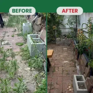 YOBENSUN® Weed Destruction Powder