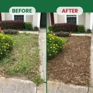 Kill Bamboo, Stumps & Invasive Weeds for Good – LIMETOW® Root Killer Powder