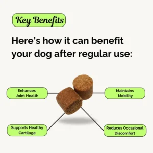 Advanced Hip & Joint Chew