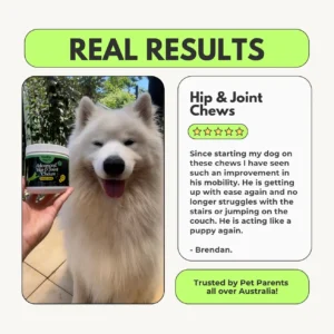 Advanced Hip & Joint Chew