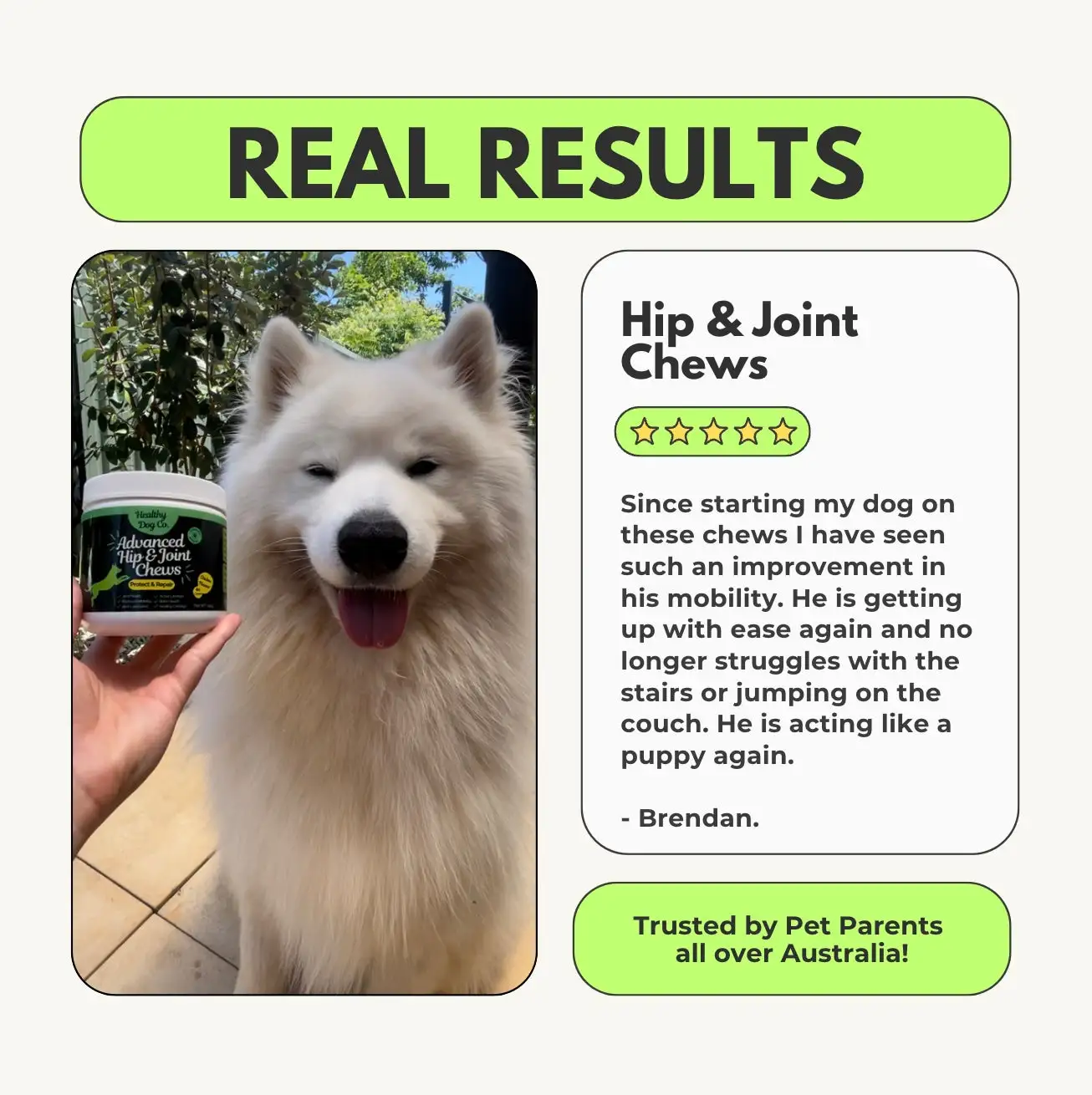 Advanced Hip & Joint Chew