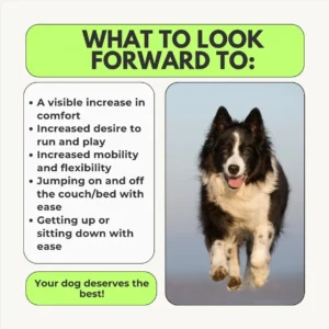 Advanced Hip & Joint Chew