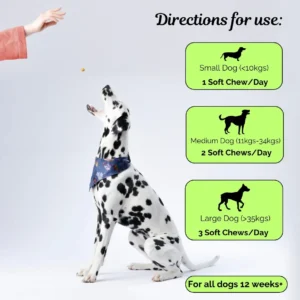 Advanced Hip & Joint Chew