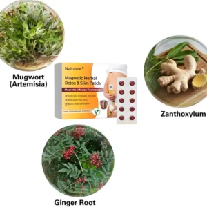 Natravor® Magnetic Herbal Detox & Slim Patch
